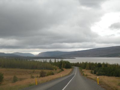 15_breiddaldsvik_026.JPG