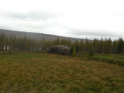 15_breiddaldsvik_031.JPG