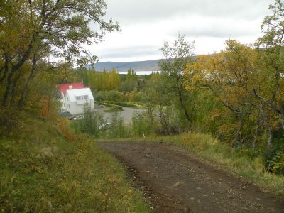 15_breiddaldsvik_039.JPG