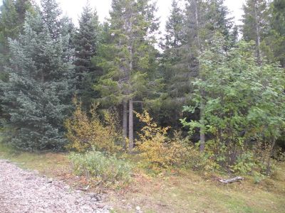 15_breiddaldsvik_041.JPG