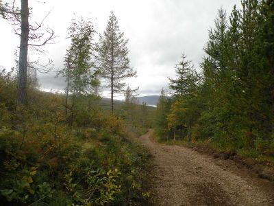 15_breiddaldsvik_049.JPG