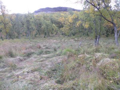 15_breiddaldsvik_064.JPG
