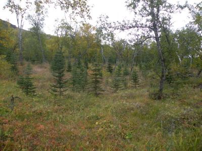 15_breiddaldsvik_065.JPG
