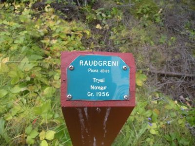 15_breiddaldsvik_089.JPG