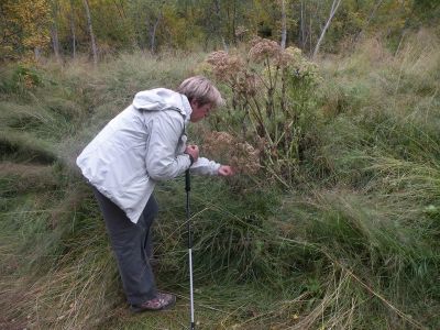 15_breiddaldsvik_097.JPG