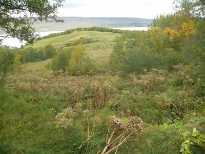 15_breiddaldsvik_100.JPG