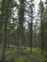 15_breiddaldsvik_090.JPG