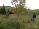 15_breiddaldsvik_096.JPG