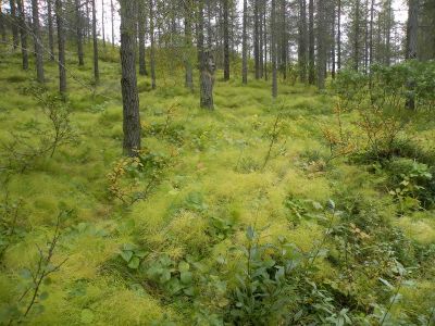 15_breiddaldsvik_110.JPG
