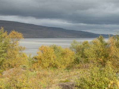 15_breiddaldsvik_117.JPG