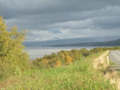 15_breiddaldsvik_118.JPG