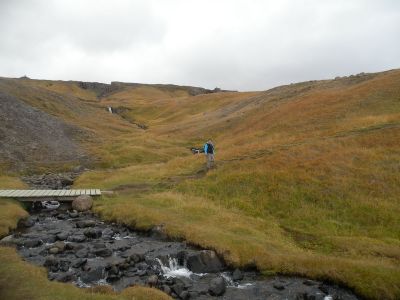 15_breiddaldsvik_165.JPG