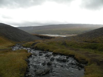 15_breiddaldsvik_166.JPG