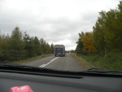15_breiddaldsvik_200.JPG