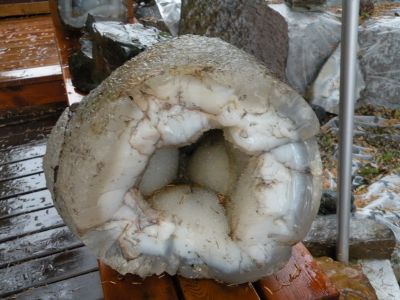 15_breiddaldsvik_263.JPG