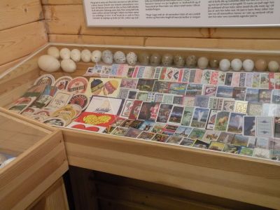 15_breiddaldsvik_273.JPG