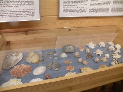 15_breiddaldsvik_274.JPG
