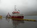 15_breiddaldsvik_217.JPG