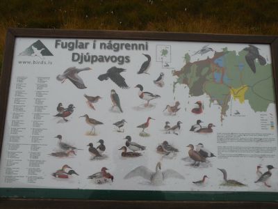 16_hofn_083.JPG