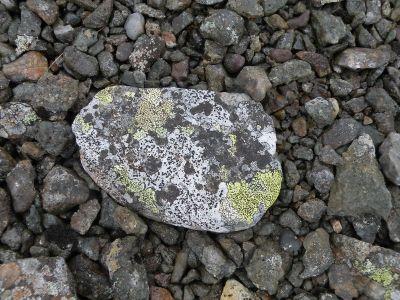16_hofn_156.JPG
