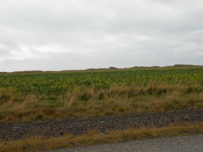 16_hofn_229.JPG