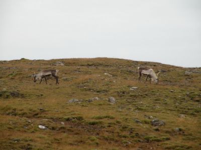 16_hofn_231.JPG