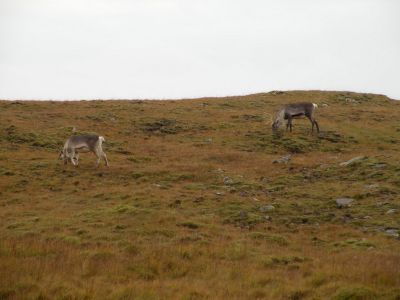 16_hofn_232.JPG