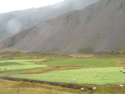 16_hofn_242.JPG