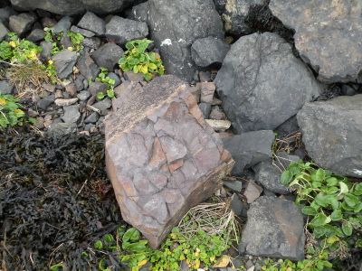 16_hofn_299.JPG