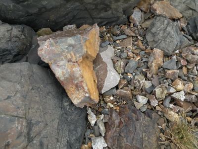 16_hofn_300.JPG