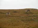 16_hofn_232.JPG