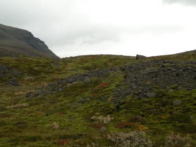 17_kirkjubaejarklaustur_248.JPG