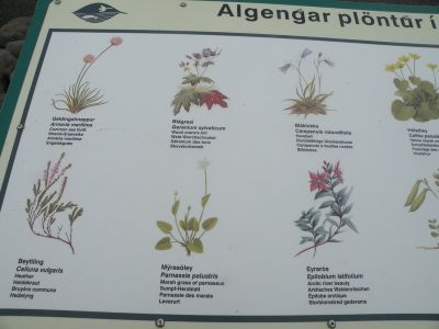 17_kirkjubaejarklaustur_296.JPG