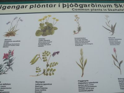 17_kirkjubaejarklaustur_297.JPG