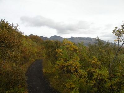 17_kirkjubaejarklaustur_314.JPG
