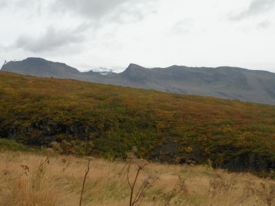 17_kirkjubaejarklaustur_341.JPG