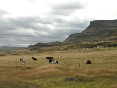 17_kirkjubaejarklaustur_423.JPG