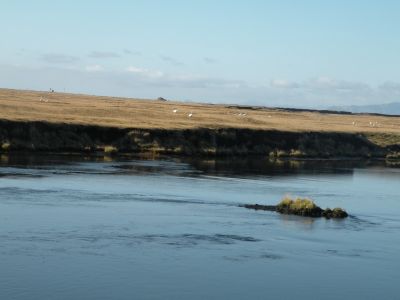 18_vik_074.JPG
