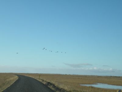 18_vik_078.JPG