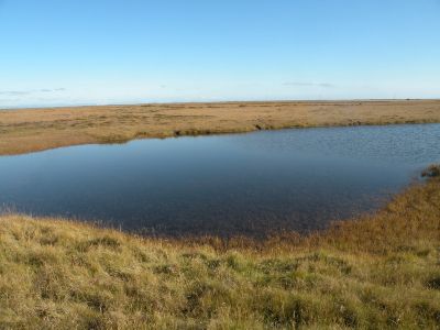 18_vik_084.JPG