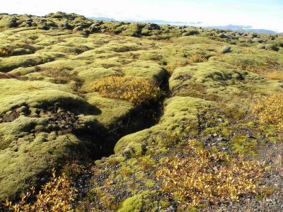 18_vik_099.JPG