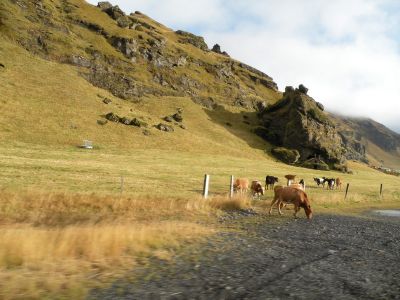 19_selfoss_033.JPG