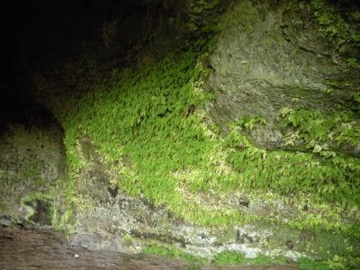 19_selfoss_076.JPG