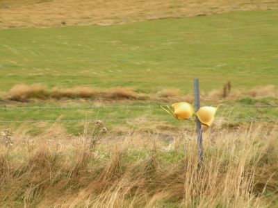 19_selfoss_083.JPG