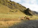 19_selfoss_033.JPG