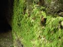 19_selfoss_079.JPG