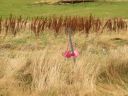 19_selfoss_082.JPG