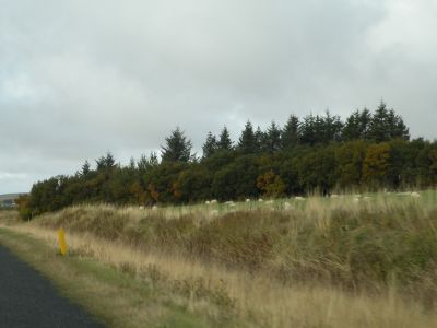 19_selfoss_110.JPG