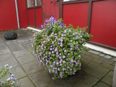 19_selfoss_127.JPG