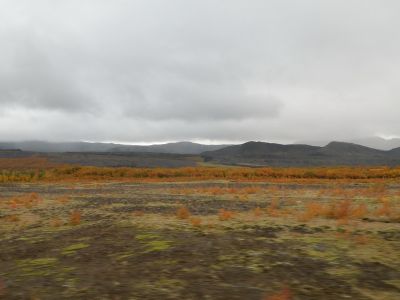 19_selfoss_159.JPG